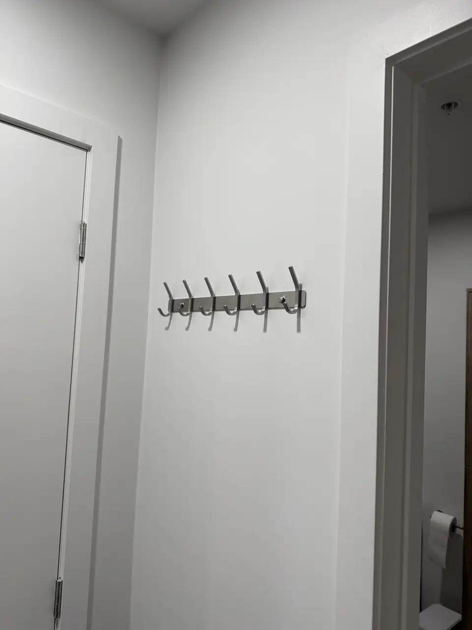 Row of coat hooks installed on an entry wall